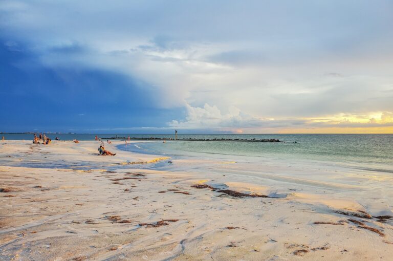 The Role of SEO in Your Palm Harbor Business’s Digital Marketing Strategy