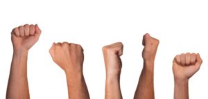 Palm Harbor Businesses: Are You Ready for the SEO Revolution?