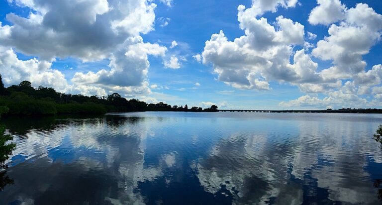 A panoramic view of Oldsmar, Florida, encapsulating the potential for local businesses to boost their online presence with effective SEO techniques.