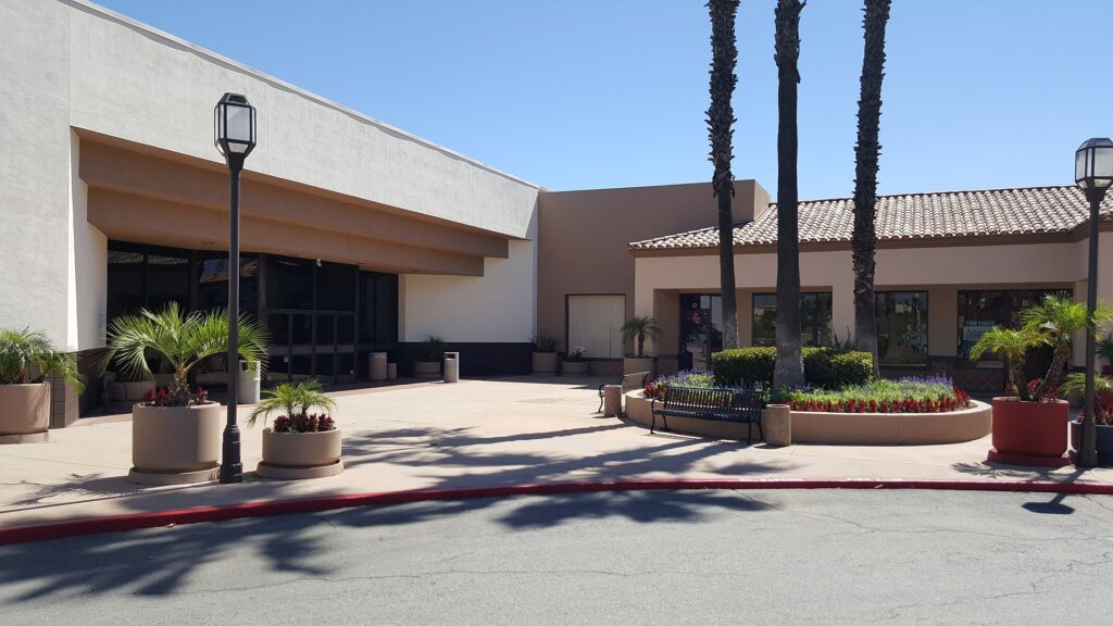 SEO Tips for Oldsmar Small Businesses