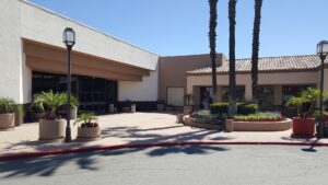 SEO Tips for Oldsmar Small Businesses