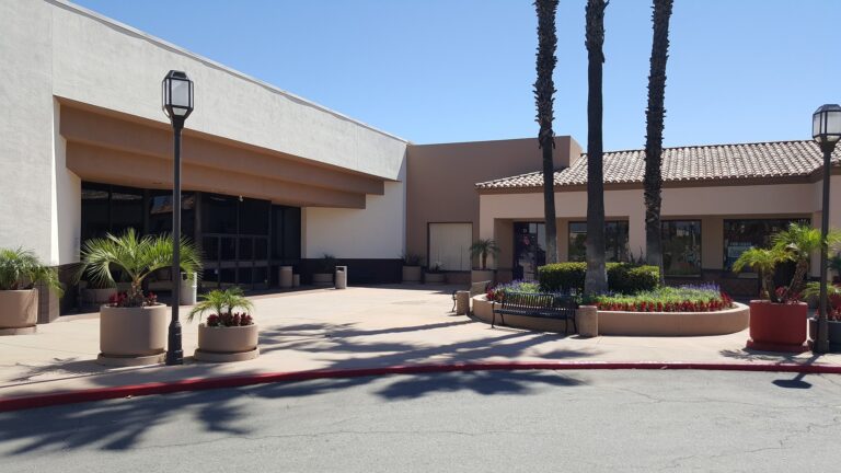 SEO Tips for Oldsmar Small Businesses