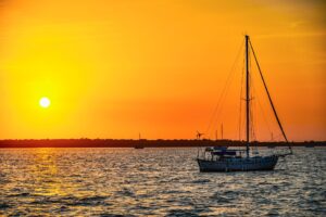 Boosting Your Dunedin Business Visibility with SEO